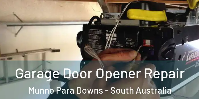 Garage Door Opener Repair Munno Para Downs - South Australia