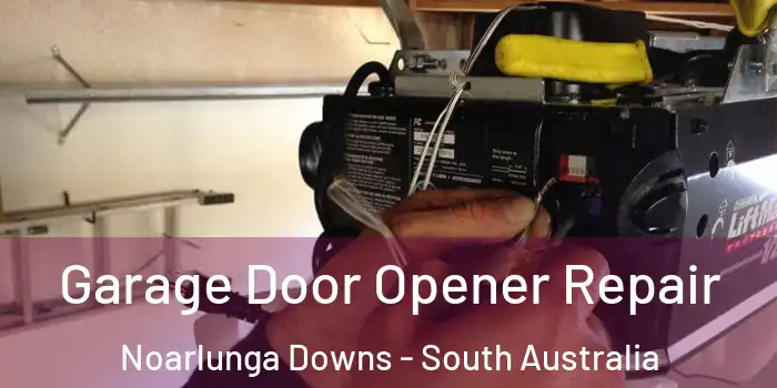 Garage Door Opener Repair Noarlunga Downs - South Australia