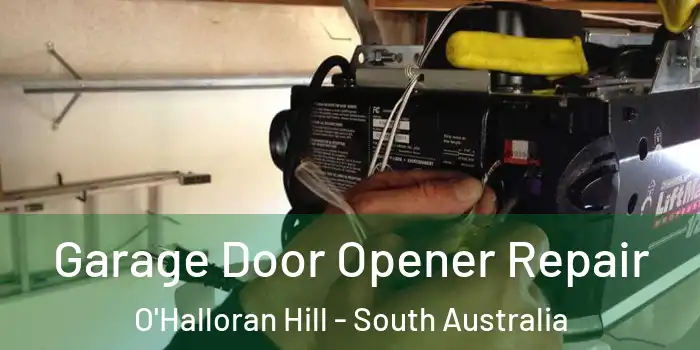 Garage Door Opener Repair O'Halloran Hill - South Australia