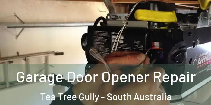 Garage Door Opener Repair Tea Tree Gully - South Australia