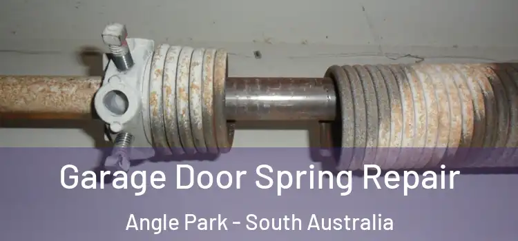 Garage Door Spring Repair Angle Park - South Australia