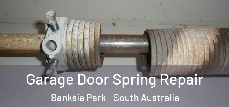 Garage Door Spring Repair Banksia Park - South Australia