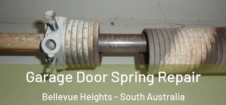 Garage Door Spring Repair Bellevue Heights - South Australia
