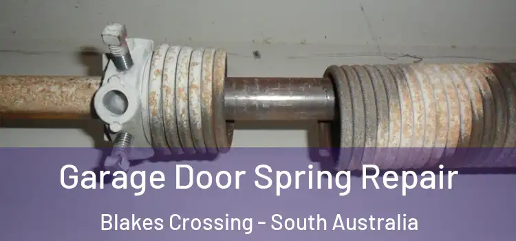 Garage Door Spring Repair Blakes Crossing - South Australia