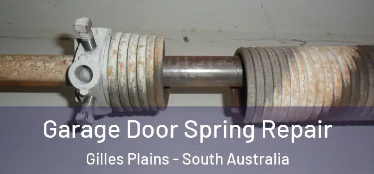 Garage Door Spring Repair Gilles Plains - South Australia