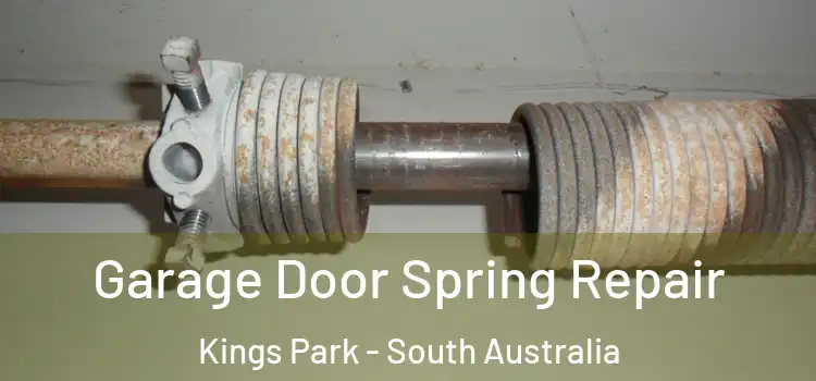 Garage Door Spring Repair Kings Park - South Australia