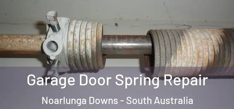 Garage Door Spring Repair Noarlunga Downs - South Australia