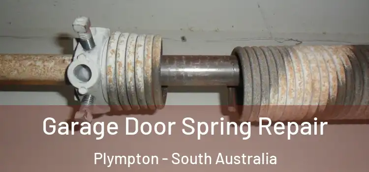 Garage Door Spring Repair Plympton - South Australia