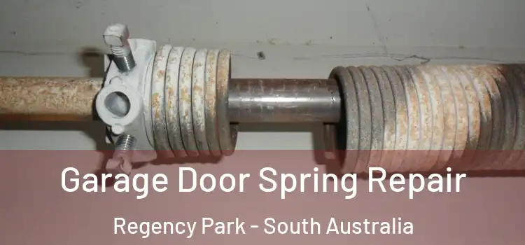 Garage Door Spring Repair Regency Park - South Australia