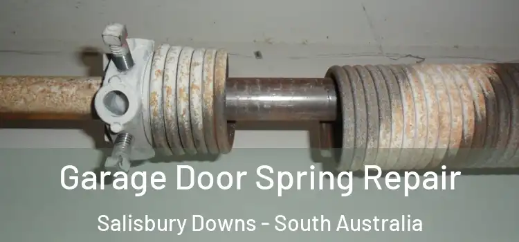 Garage Door Spring Repair Salisbury Downs - South Australia