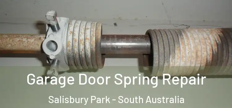 Garage Door Spring Repair Salisbury Park - South Australia