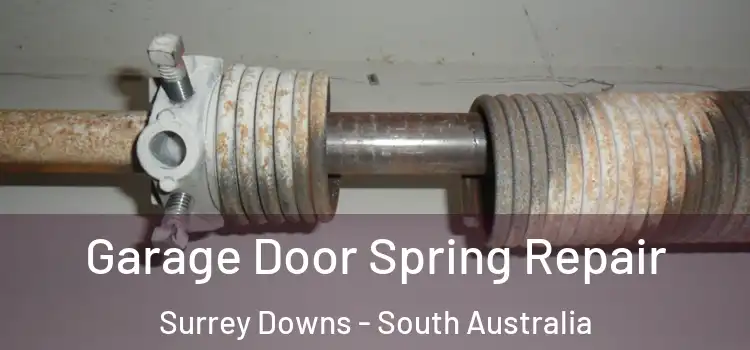 Garage Door Spring Repair Surrey Downs - South Australia