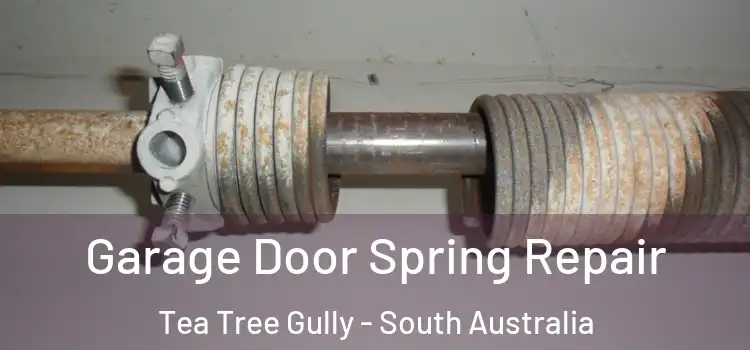 Garage Door Spring Repair Tea Tree Gully - South Australia