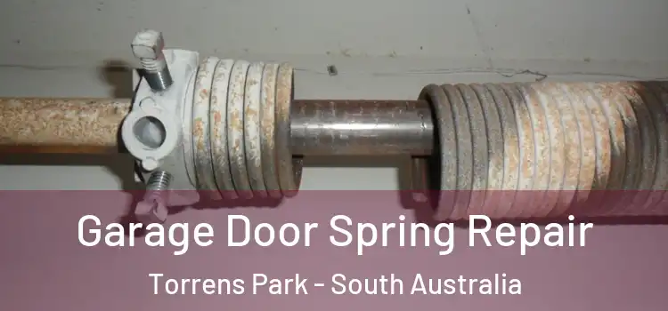 Garage Door Spring Repair Torrens Park - South Australia