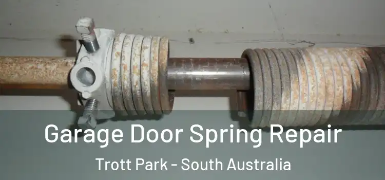 Garage Door Spring Repair Trott Park - South Australia