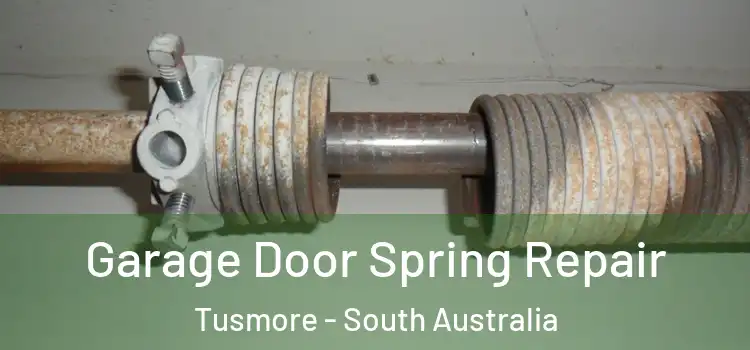 Garage Door Spring Repair Tusmore - South Australia