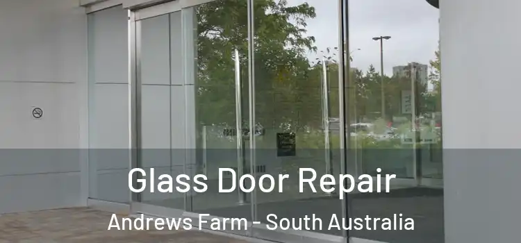 Glass Door Repair Andrews Farm - South Australia