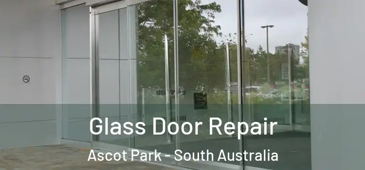 Glass Door Repair Ascot Park - South Australia