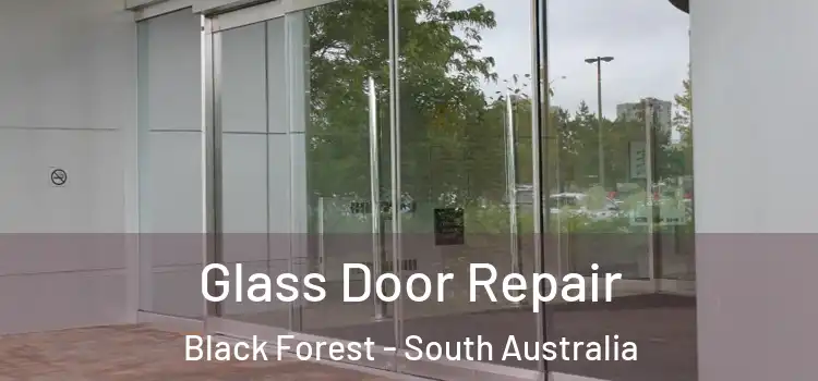 Glass Door Repair Black Forest - South Australia