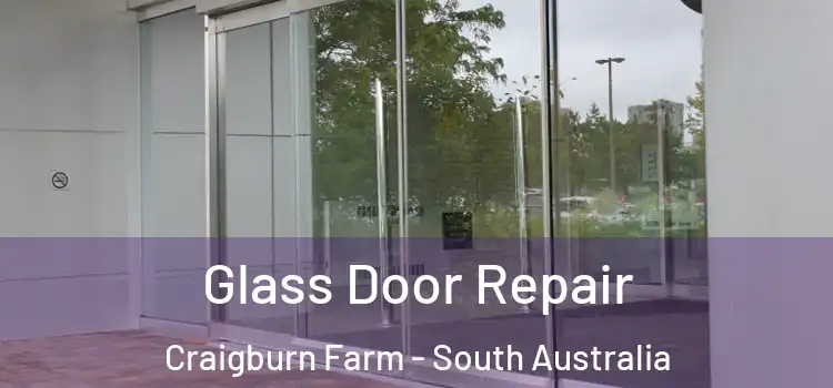 Glass Door Repair Craigburn Farm - South Australia