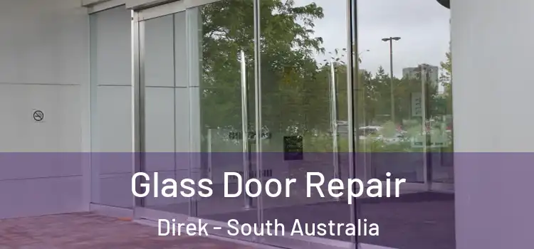 Glass Door Repair Direk - South Australia
