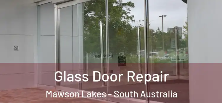 Glass Door Repair Mawson Lakes - South Australia