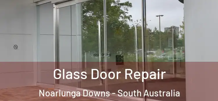 Glass Door Repair Noarlunga Downs - South Australia