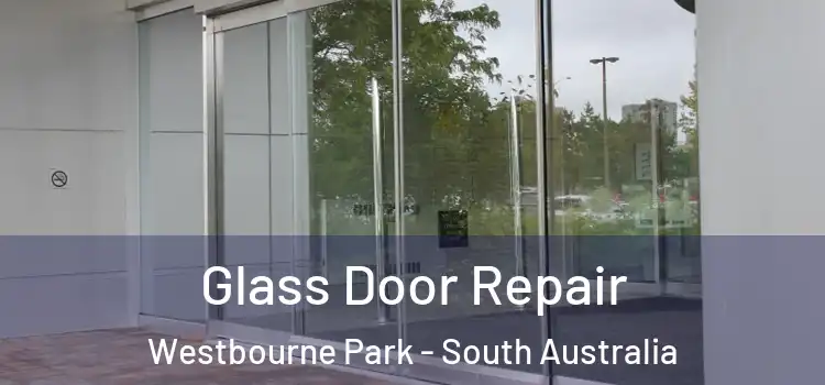 Glass Door Repair Westbourne Park - South Australia