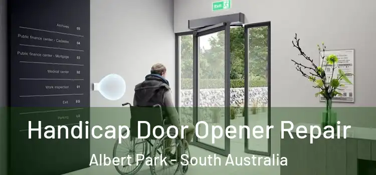 Handicap Door Opener Repair Albert Park - South Australia