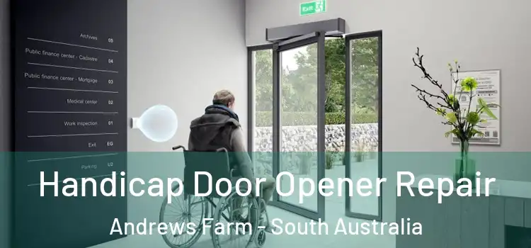 Handicap Door Opener Repair Andrews Farm - South Australia