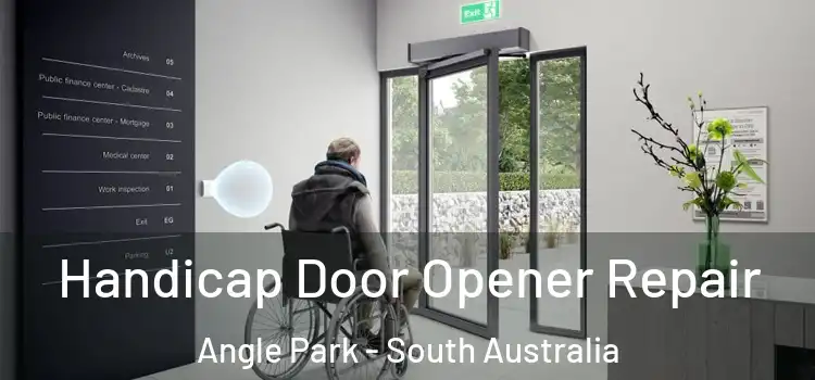 Handicap Door Opener Repair Angle Park - South Australia