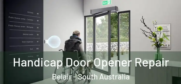 Handicap Door Opener Repair Belair - South Australia