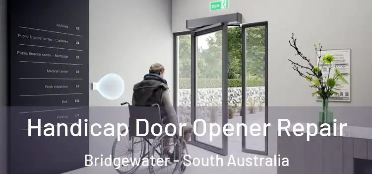 Handicap Door Opener Repair Bridgewater - South Australia