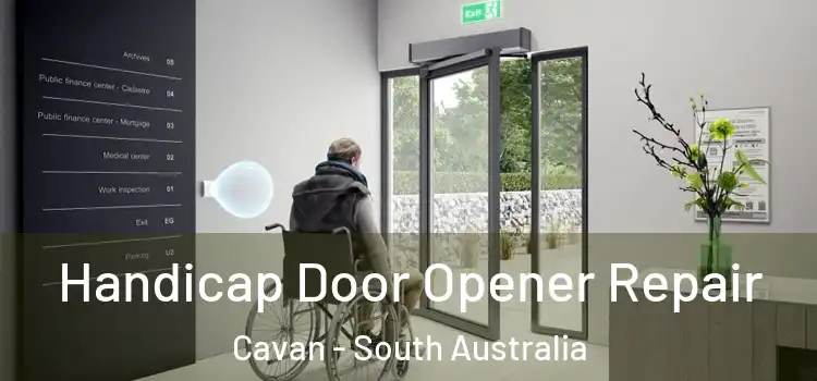Handicap Door Opener Repair Cavan - South Australia