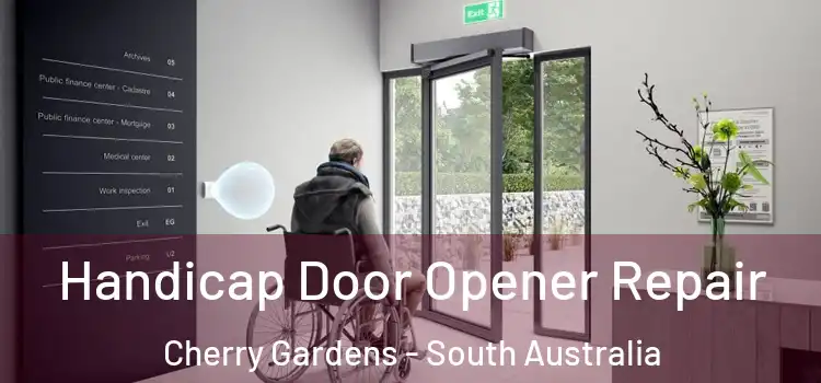 Handicap Door Opener Repair Cherry Gardens - South Australia