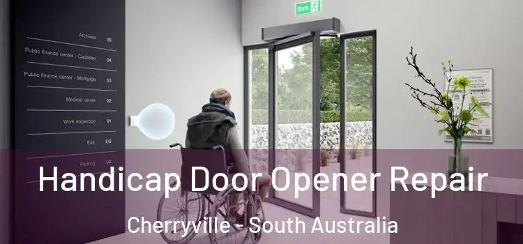 Handicap Door Opener Repair Cherryville - South Australia