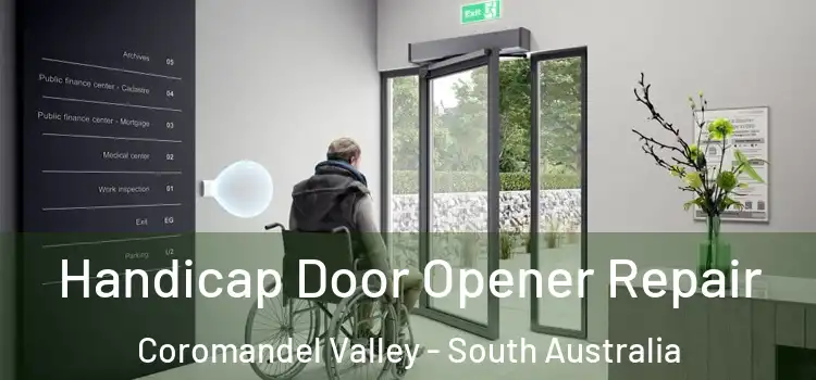 Handicap Door Opener Repair Coromandel Valley - South Australia