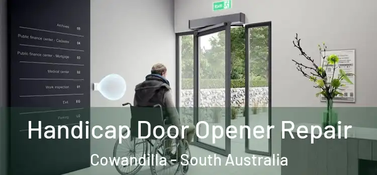 Handicap Door Opener Repair Cowandilla - South Australia