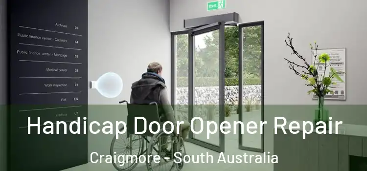 Handicap Door Opener Repair Craigmore - South Australia