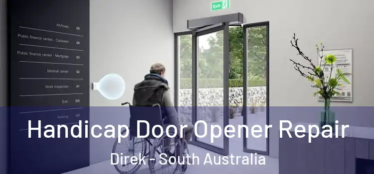 Handicap Door Opener Repair Direk - South Australia