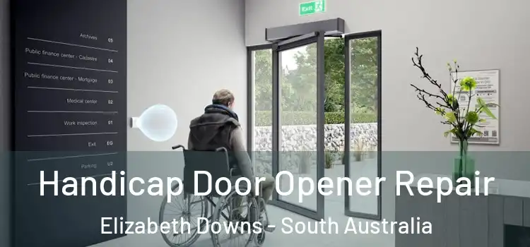Handicap Door Opener Repair Elizabeth Downs - South Australia