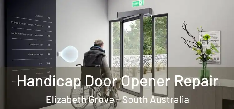 Handicap Door Opener Repair Elizabeth Grove - South Australia