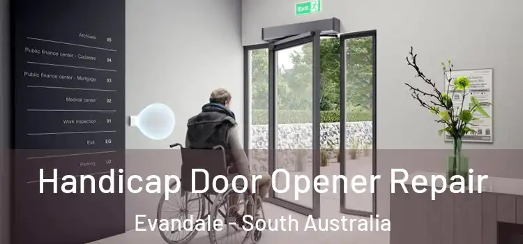 Handicap Door Opener Repair Evandale - South Australia