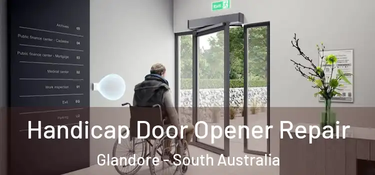 Handicap Door Opener Repair Glandore - South Australia