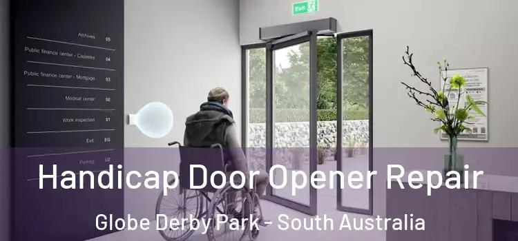 Handicap Door Opener Repair Globe Derby Park - South Australia