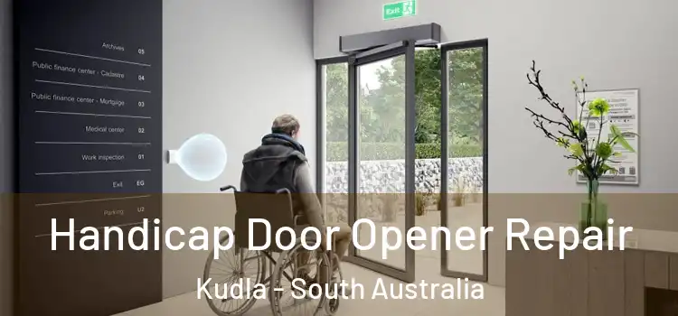 Handicap Door Opener Repair Kudla - South Australia