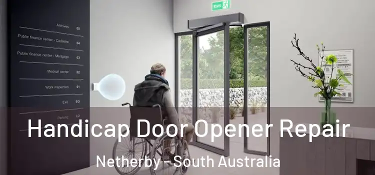 Handicap Door Opener Repair Netherby - South Australia