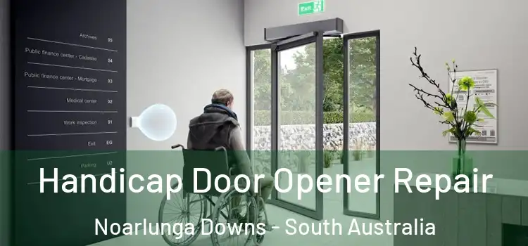 Handicap Door Opener Repair Noarlunga Downs - South Australia