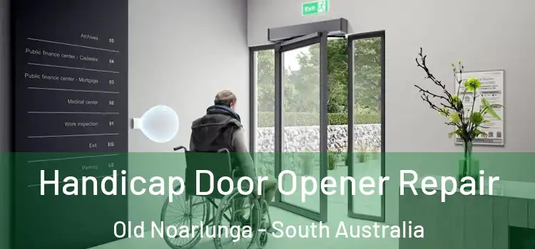 Handicap Door Opener Repair Old Noarlunga - South Australia