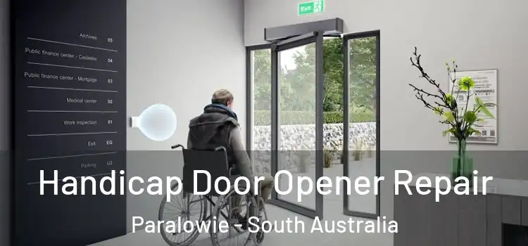 Handicap Door Opener Repair Paralowie - South Australia
